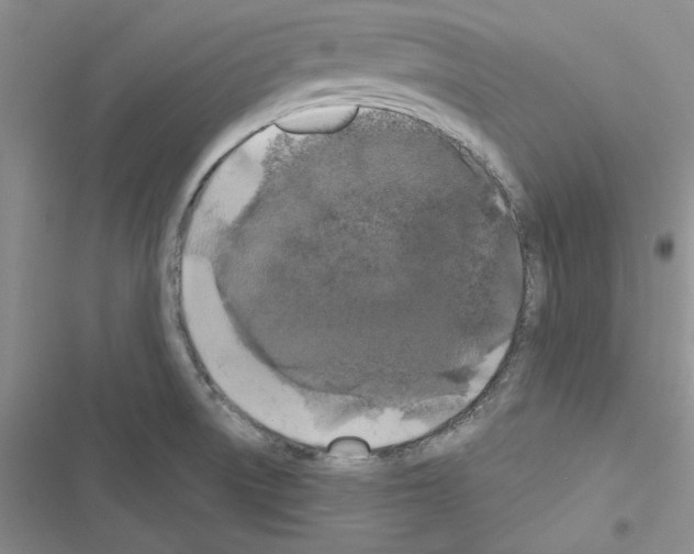 X0000116611522201001221308