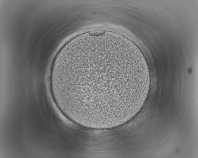 X0000116611523201001221308