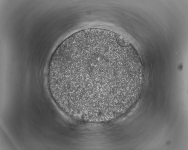 X0000116611525201001221308