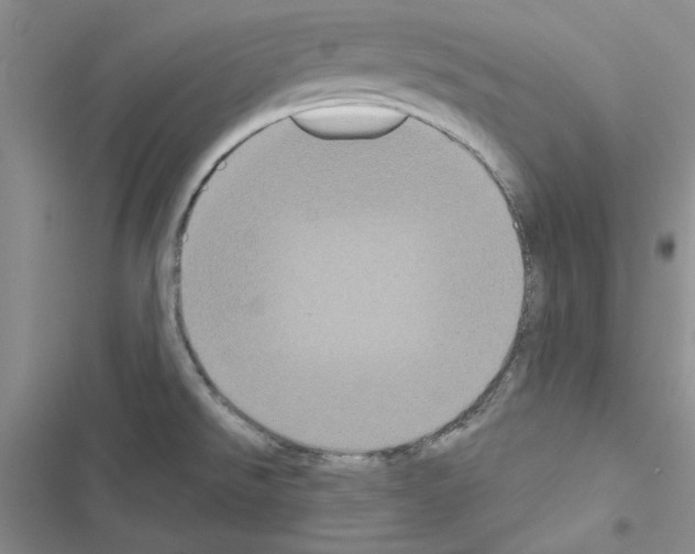 X0000116611526201001221308