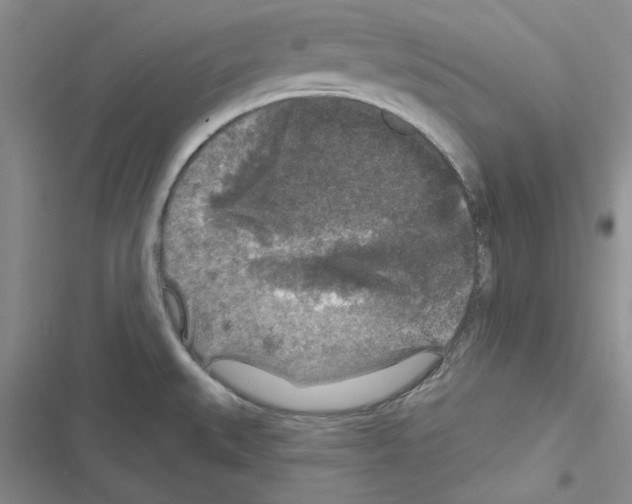 X0000116611527201001221308