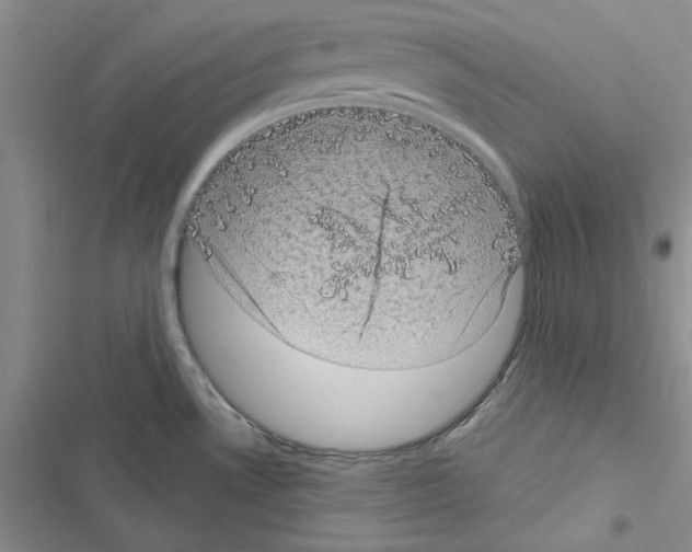 X0000116611530201001221308