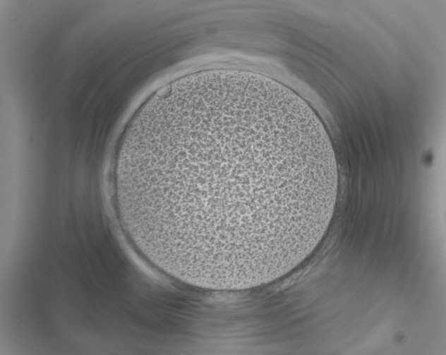 X0000116611531201001221308