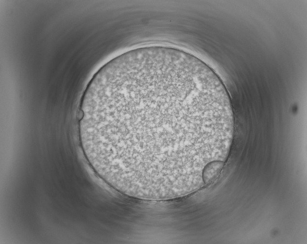 X0000116611534201001221308