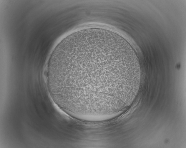 X0000116611535201001221308