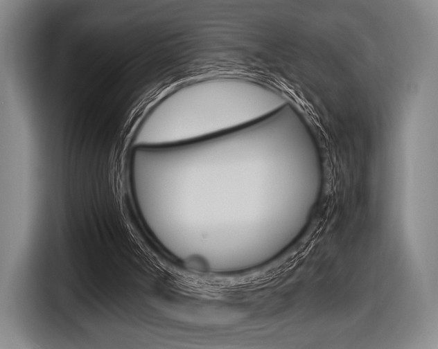 X0000116620002200912110950
