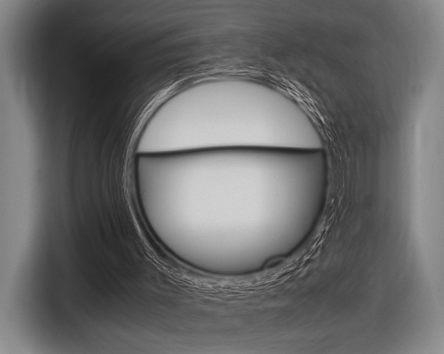 X0000116620003200912110950