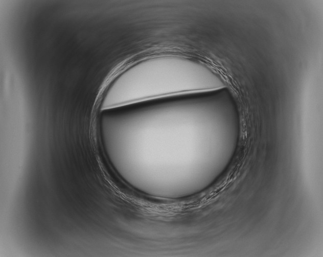 X0000116620004200912110950