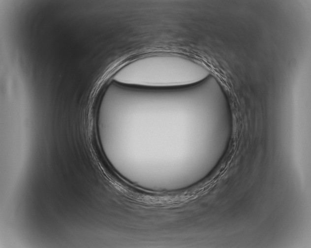 X0000116620005200912110950