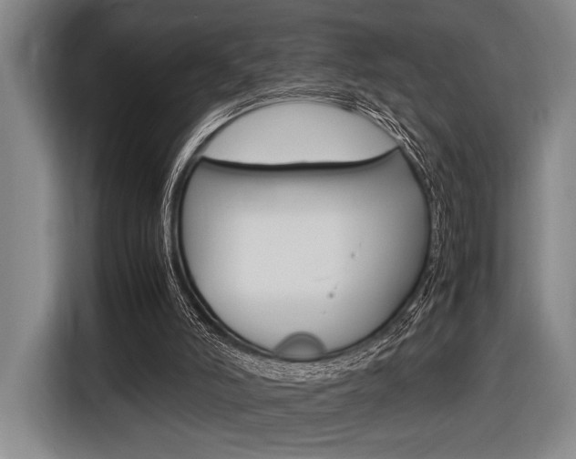 X0000116620006200912110950