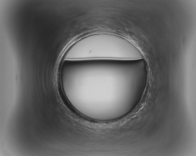 X0000116620007200912110950
