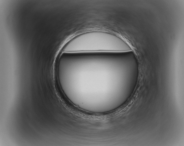 X0000116620008200912110950