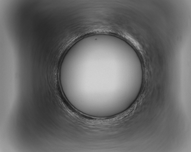 X0000116620009200912110950