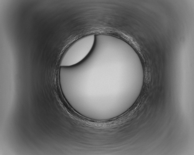 X0000116620010200912110950