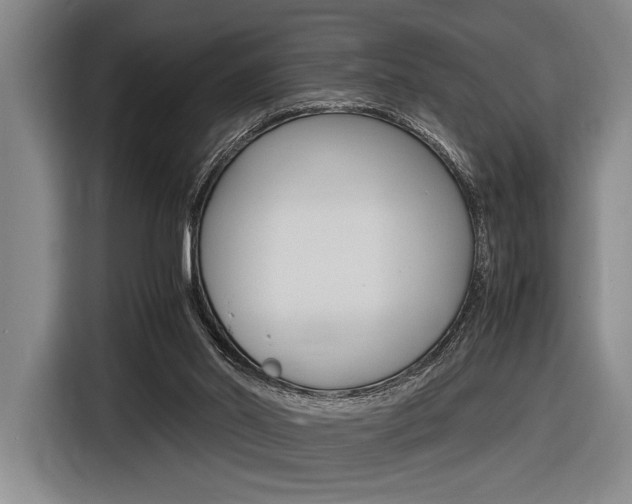 X0000116620014200912110950