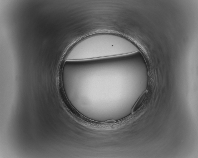 X0000116620015200912110950