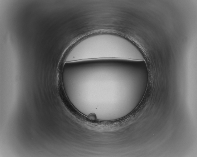 X0000116620016200912110950