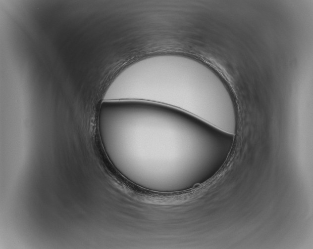 X0000116620017200912110950