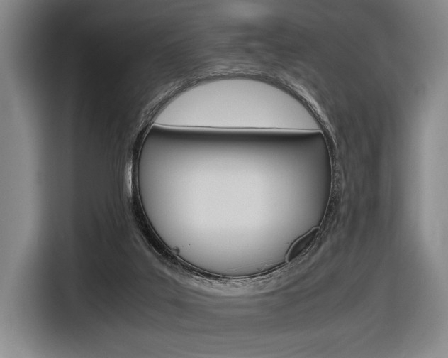 X0000116620019200912110950