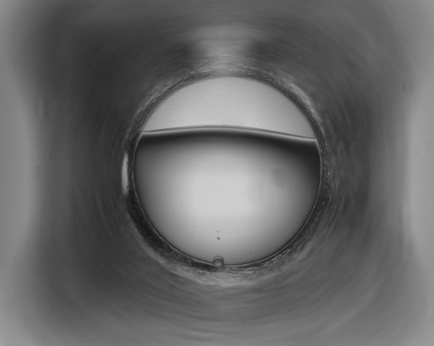 X0000116620020200912110950