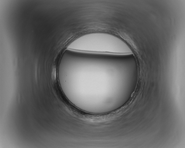 X0000116620021200912110950