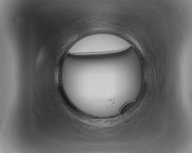 X0000116620023200912110950