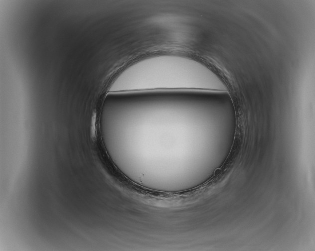 X0000116620024200912110950