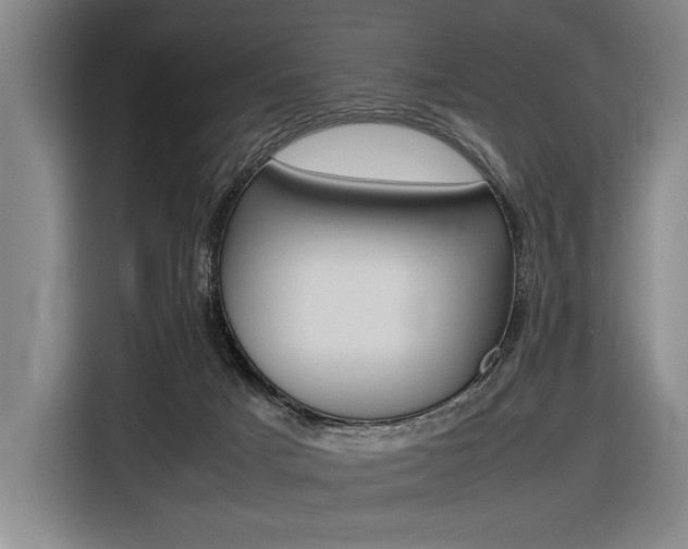 X0000116620025200912110950