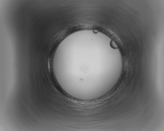 X0000116620026200912110950