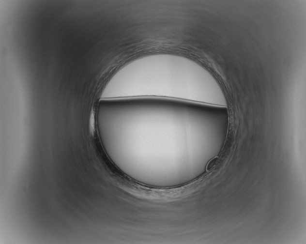 X0000116620027200912110950
