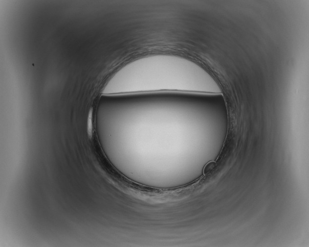 X0000116620028200912110950