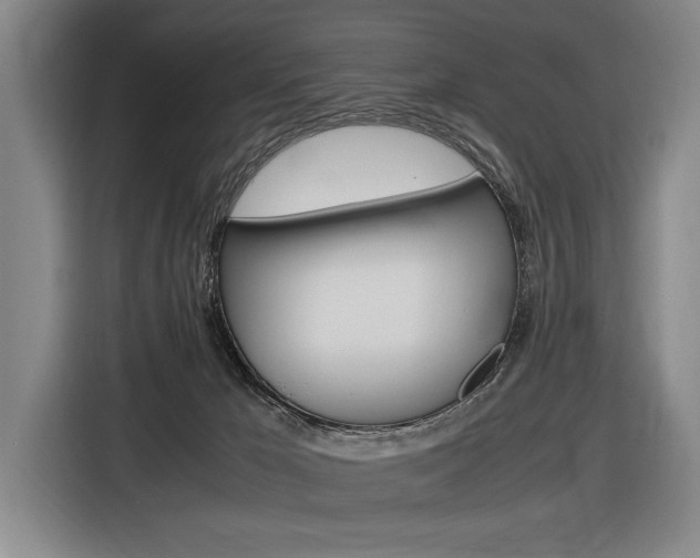 X0000116620029200912110950