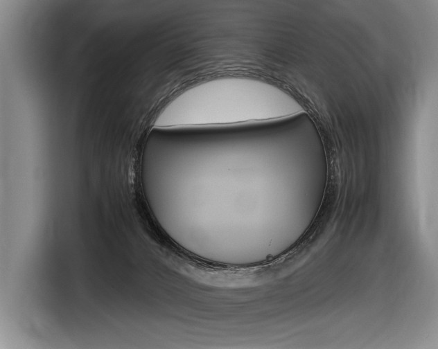 X0000116620032200912110950