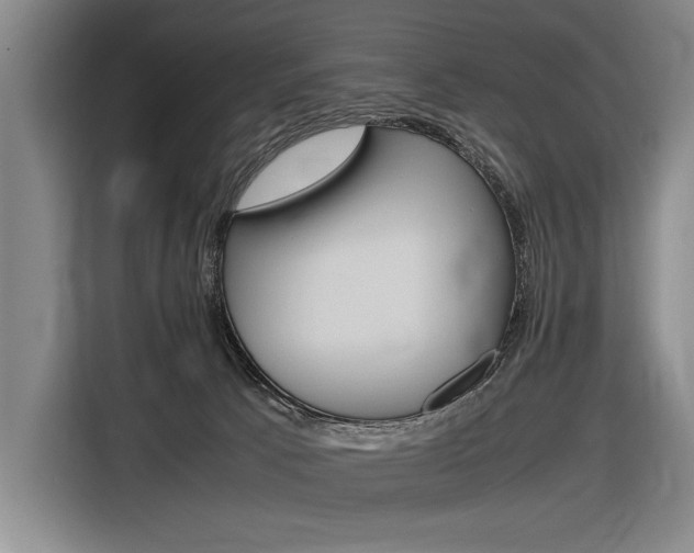 X0000116620033200912110950