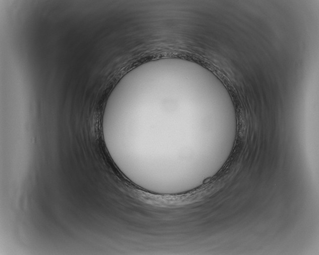 X0000116620034200912110950