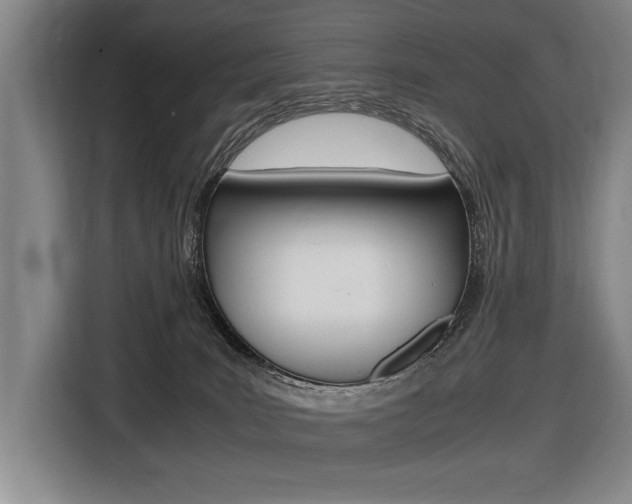 X0000116620035200912110949