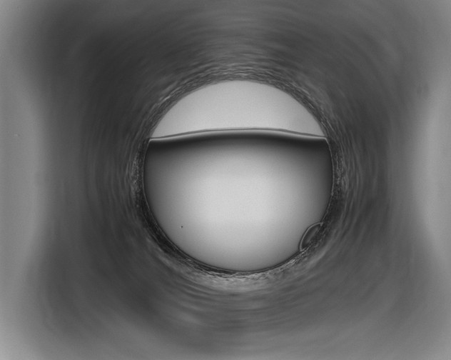 X0000116620036200912110949