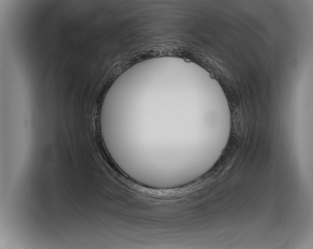 X0000116620038200912110949