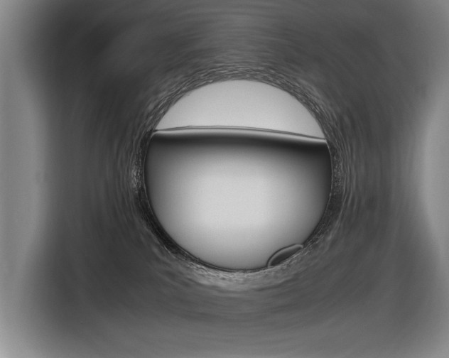 X0000116620039200912110949