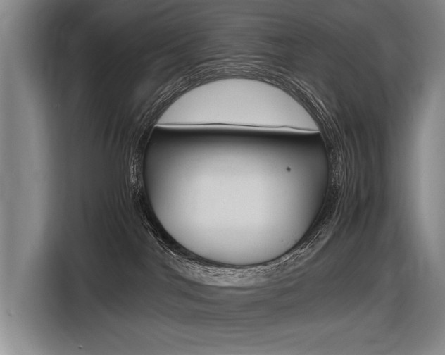 X0000116620044200912110949