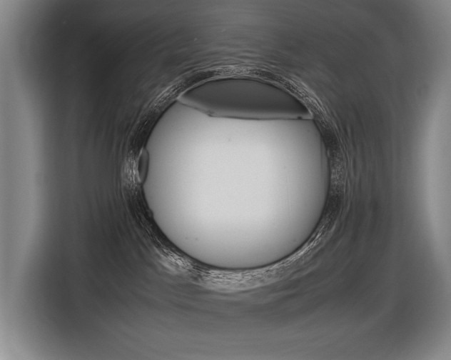 X0000116620045200912110949