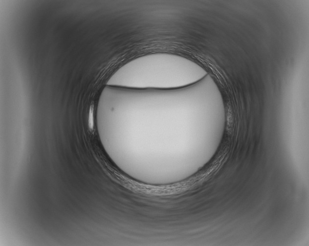X0000116620046200912110949