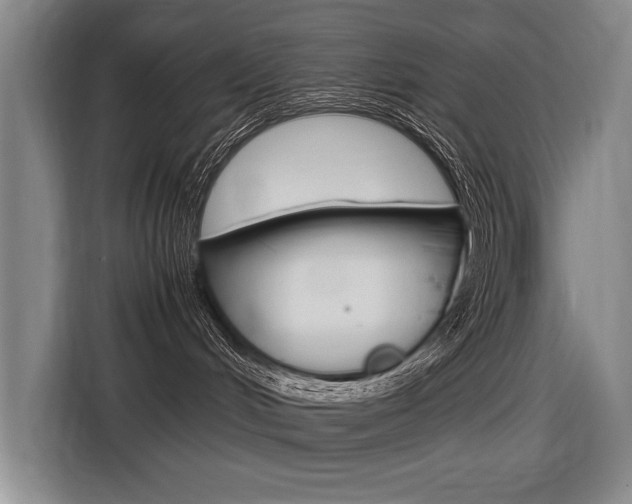 X0000116620048200912110949