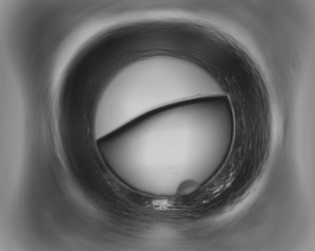 X0000116620050200912110949