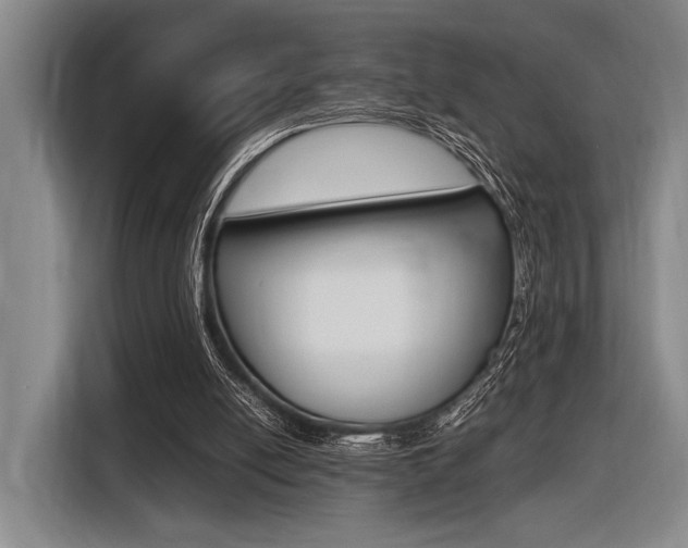 X0000116620054200912110949