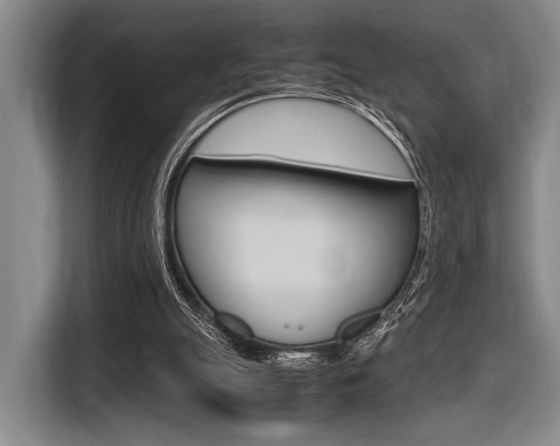X0000116620055200912110949