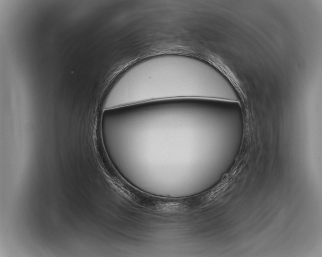 X0000116620058200912110949