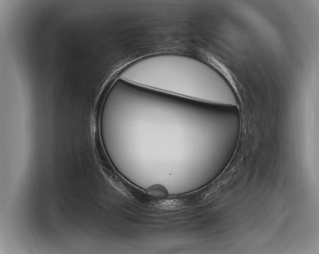 X0000116620059200912110949