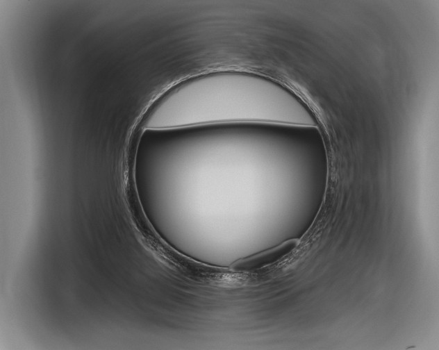 X0000116620060200912110949
