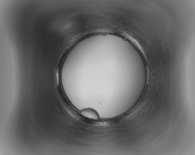 X0000116620061200912110949